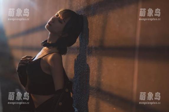 木棉棉OwO的兔女郎版图：资源齐全，在线会议随时开播！