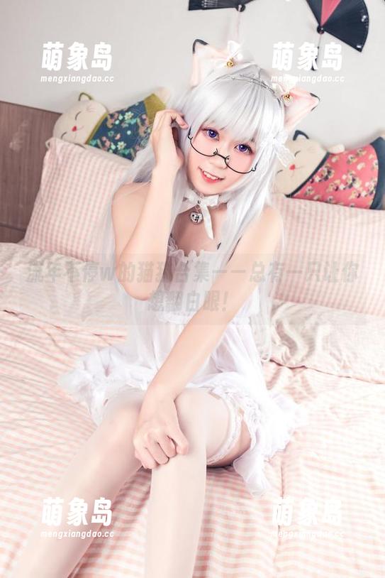 流年不停w的猫猫合集——总有一只让你想翻白眼！